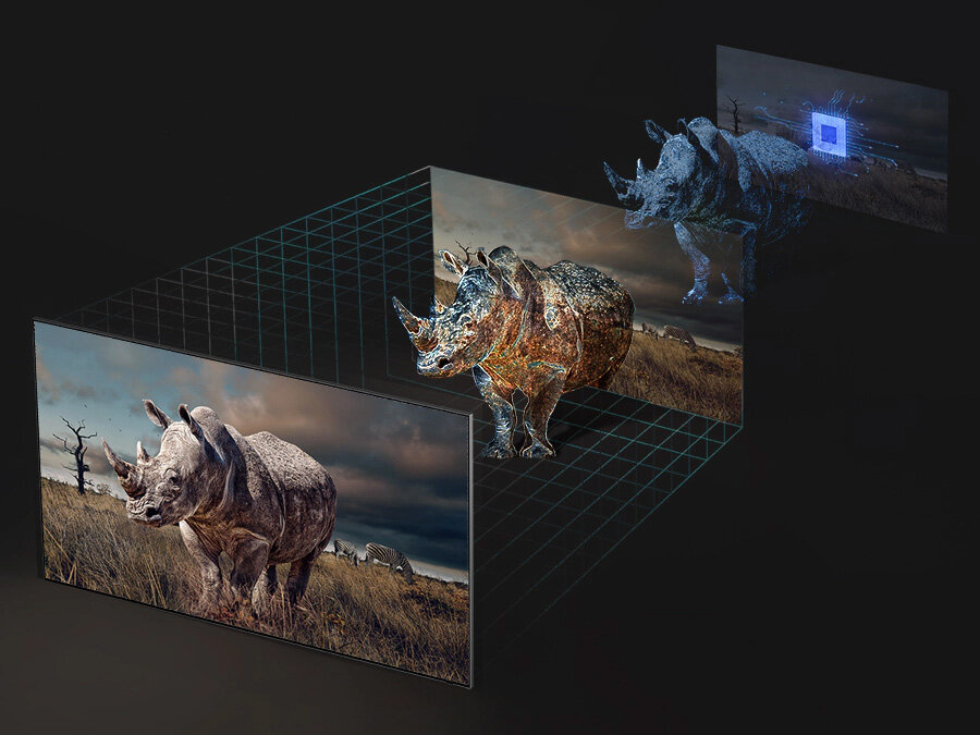 Презентация 3 шагов отображения живых объектов на примере носорога в технологии Image Depth Enhancement.  Q77BATXXH