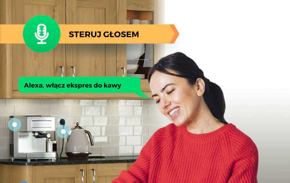 NOUS topologia krata brama system nadajnik odbiornik sterowanie głos