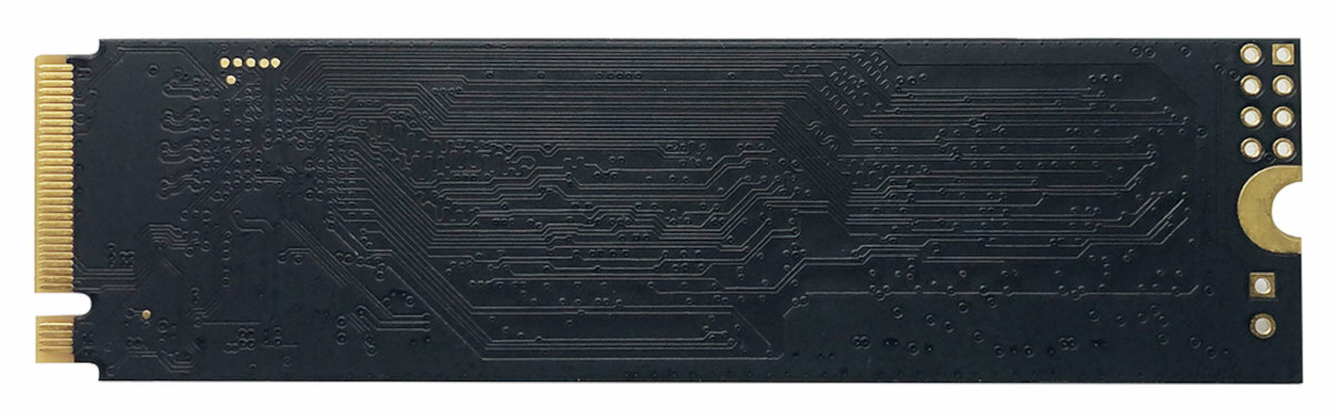 PATRIOT-960GB-P310-tyl