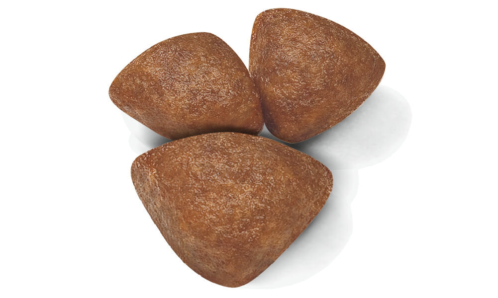 Karma dla psa ROYAL CANIN SHN Mini Starter M&B 8 kg naturalne składniki grafika z krokietami