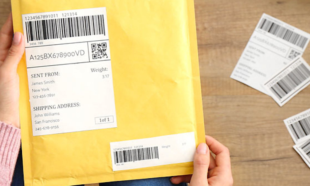 Skaner IRIS Scan Desk 6 Business