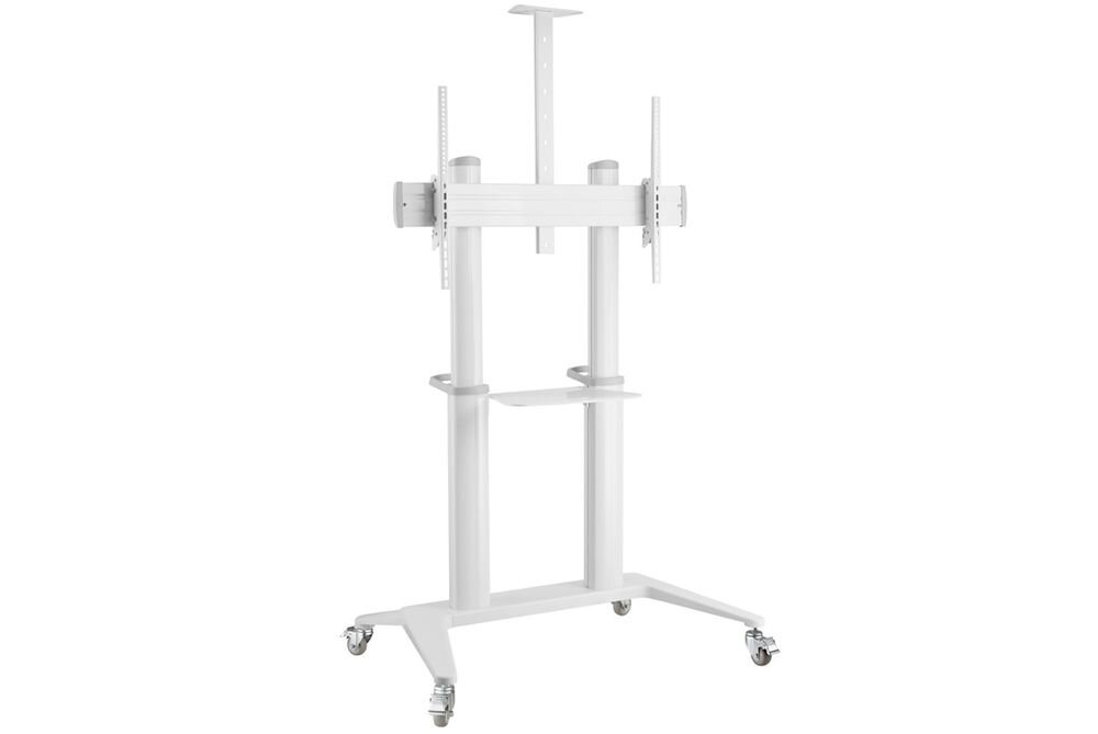 Stojak podłogowy TECHLY do TV 70 120 ICA-TR49W kółka transportowe uchwyty mobilność łatwe przemieszczanie, stojak po skosie na białym tle