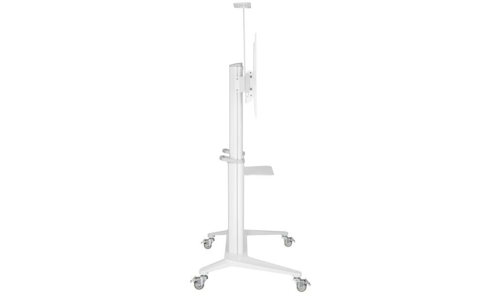 Stojak podłogowy TECHLY do TV 70 120 ICA-TR49W półka AV udźwig 5kg laptop odtwarzacz wygodna organizacja, stojak z boku na białym tle