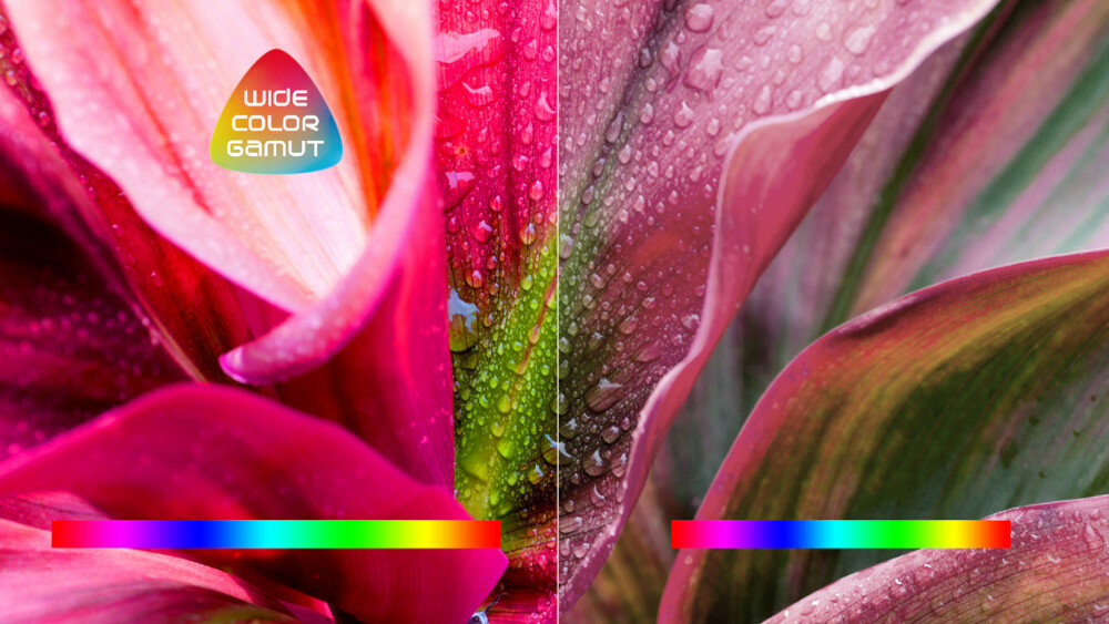 Telewizor TCL LED P735  - kolory