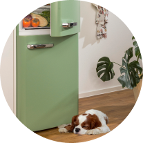 Gorenje ONTR