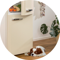 Gorenje ONTR
