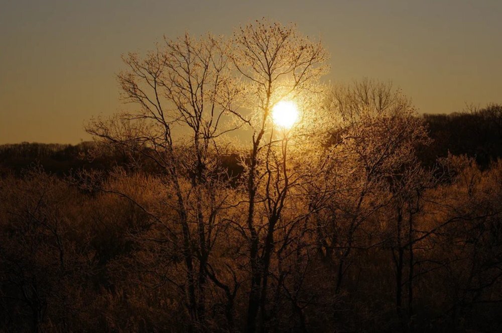 Obiektyw PENTAX D HD FA 70-210 mm f-4 ED SDM WR słońce za drzewem
