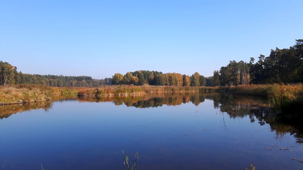 Obiektyw PENTAX HD FA 35mm F2  ogniskowa przysłona ostrość pierścienie optyka soczewki powłoki montaż bagnet światło jasność zoom filtry waga