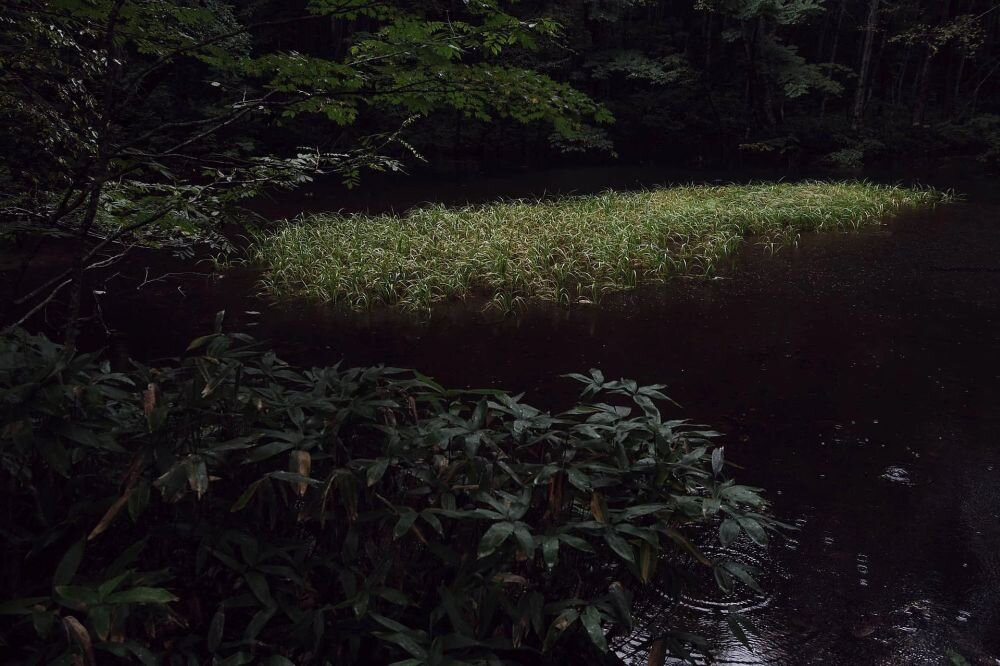 Pentax K-3 Mark III autofocus Safox 13 101 punktów śledzenie ruchu zdjęcia nocne