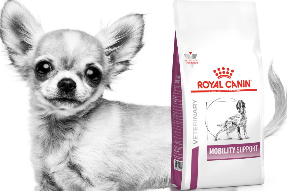 Karma dla psa ROYAL CANIN Vet Mobility Support 12 kg dawkowanie analiza sklad