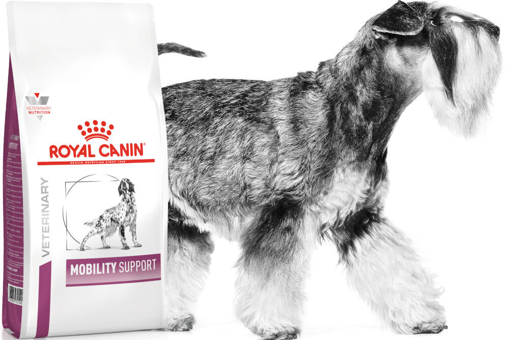 Karma dla psa ROYAL CANIN Vet Mobility Support 12 kg witaminy pierwiastki aminokwasy
