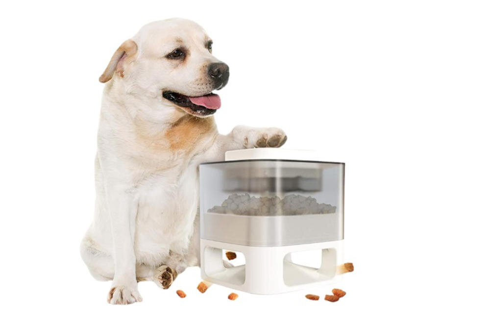 DOGGY VILLAGE pies przycisk suche smakołyki pojemnik kwadrat trudność