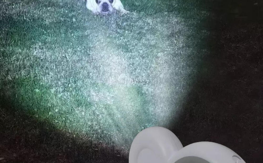 DOGGY VILLAGE smycz latarka led zasięg