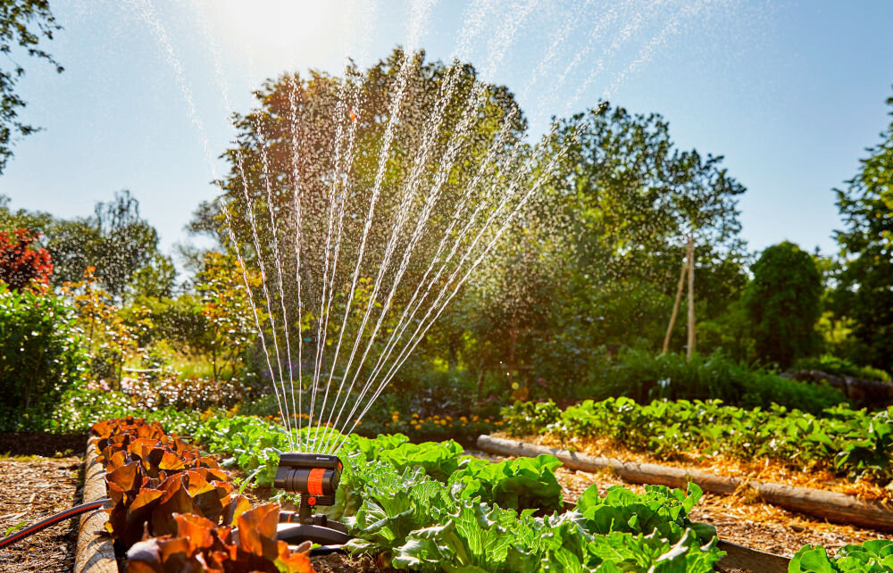 Zraszacz wahadłowy GARDENA Aquazoom Compact ogród rabaty warzywne zraszacz podlewa rośliny w tle niebo drzewa specjalne dysze wahadłowe podlewanie na powierzchni od 9 do 216 m² efektywność podlewania dzięki precyzyjnemu rozprowadzaniu wody zraszacz ogranicza jej nadmierne zużycie