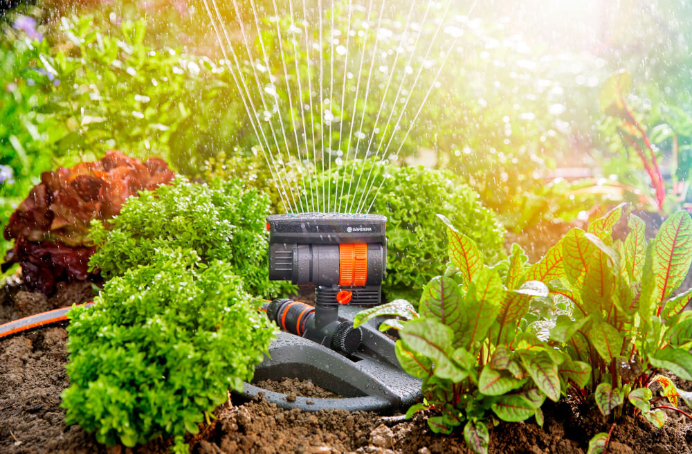 Zraszacz wahadłowy GARDENA Aquazoom Compact mocne słońce ogród rabata warzywna zraszacz podlewa rośliny odporny na mróz i promieniowanie UV zachowuje trwałość i estetyczny wygląd wysokiej jakości tworzywo sztuczne nie ulegają szybkiemu niszczeniu