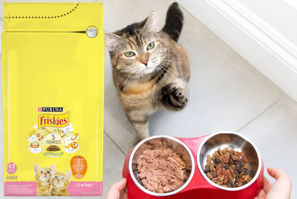 Karma dla kota FRISKIES Junior Kurczak z mlekiem i warzywami 1,5 kg sklad analiza