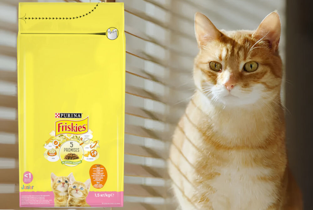 Karma dla kota FRISKIES Junior Kurczak z mlekiem i warzywami 1,5 kg sklad analiza