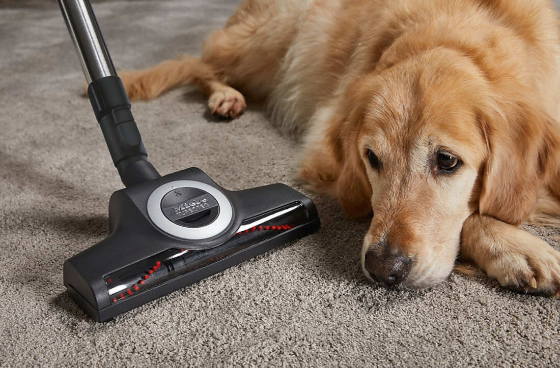 Odkurzacz MIELE PowerLine Compact C2 Cat&Dog