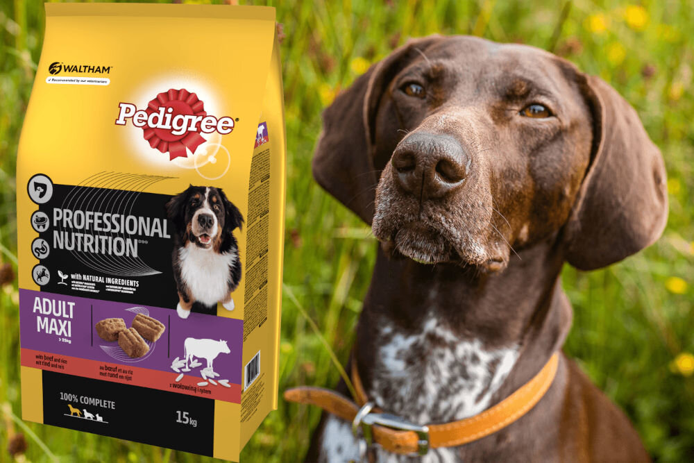 Karma dla psa PEDIGREE Professional Nutrition Adult Maxi Wołowina 15 kg dawkowanie analiza sklad