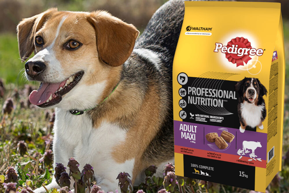 Karma dla psa PEDIGREE Professional Nutrition Adult Maxi Wołowina 15 kg witaminy pierwiastki aminokwasy
