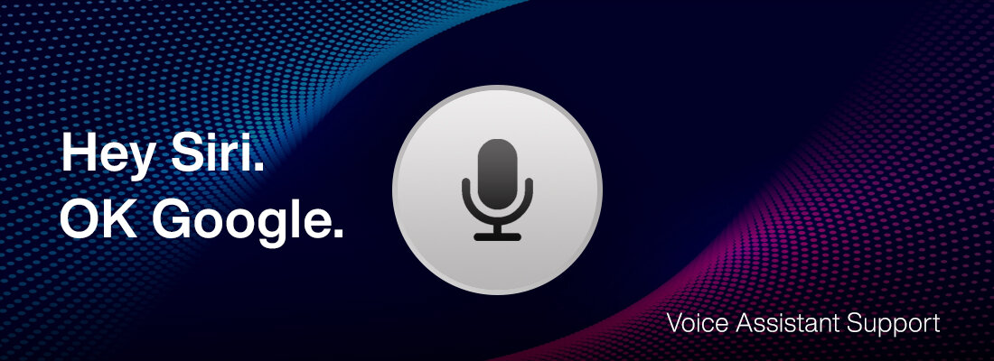 Transmiter FM VORDON TB-150  - asystent głosowy