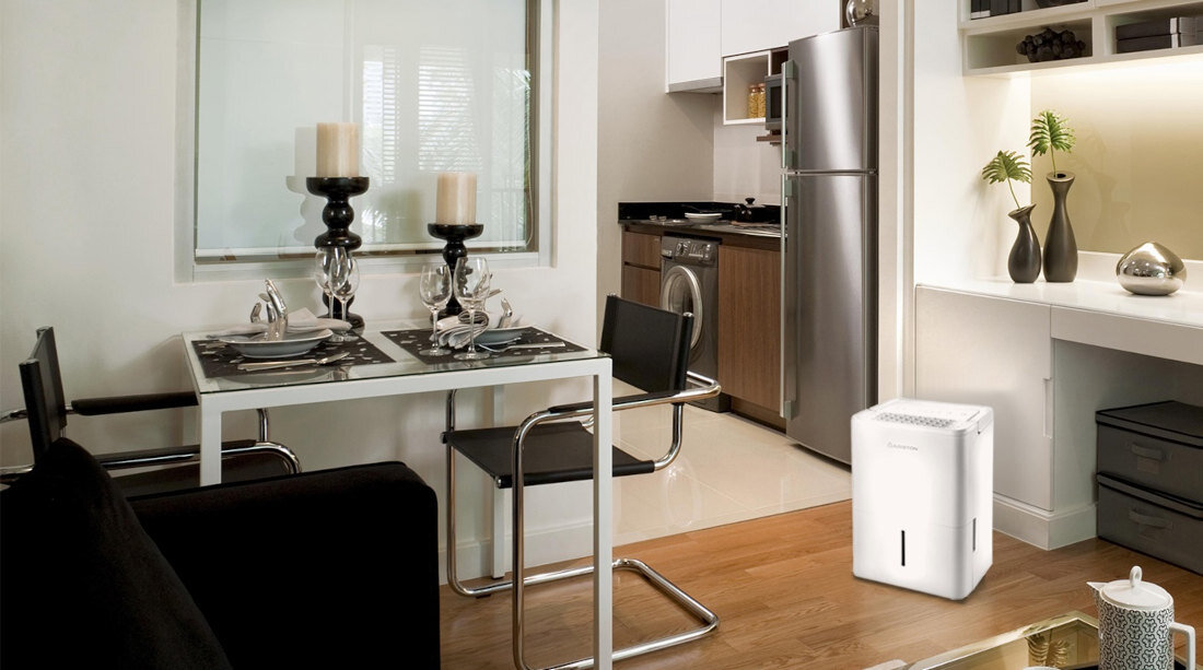 Osuszacz ARISTON Deos 12 moc 250W