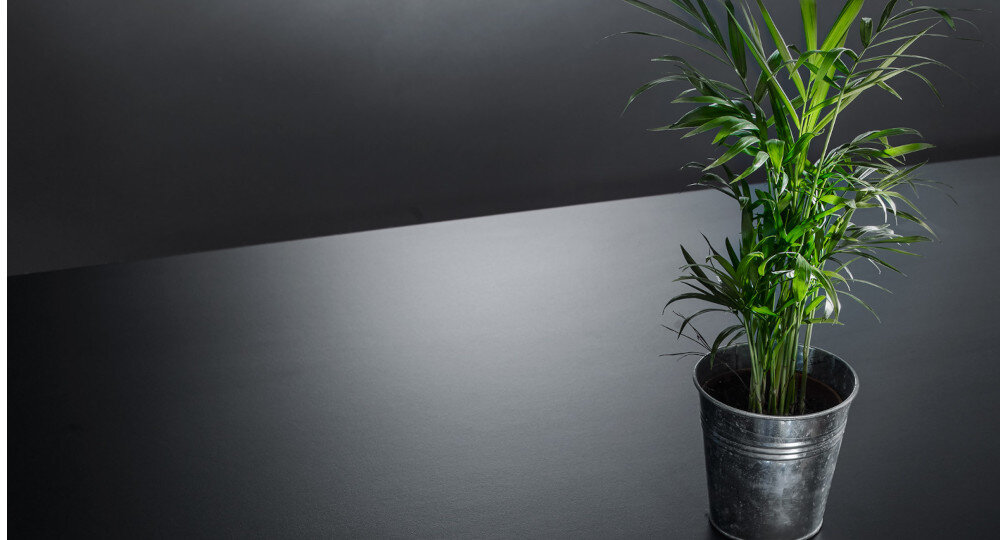 Pralka ASKO W2084C.W/2 Classic 8kg 1400 obr