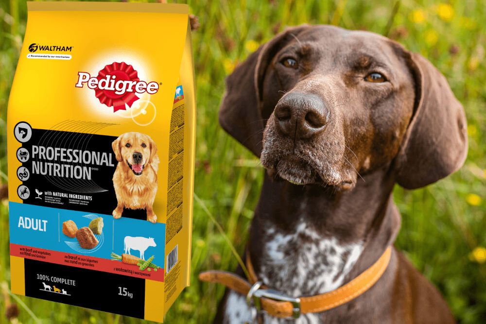 Karma dla psa PEDIGREE Professional Nutrition Adult Wołowina 15 kg dawkowanie analiza sklad