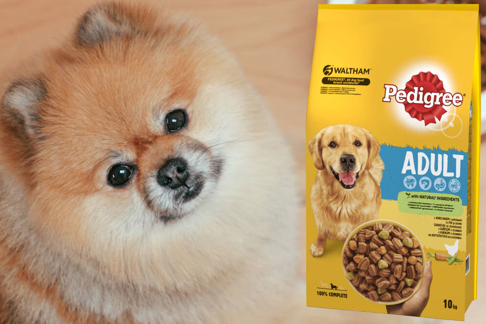 Karma dla psa PEDIGREE Adult Kurczak 10 kg naturalne składniki
