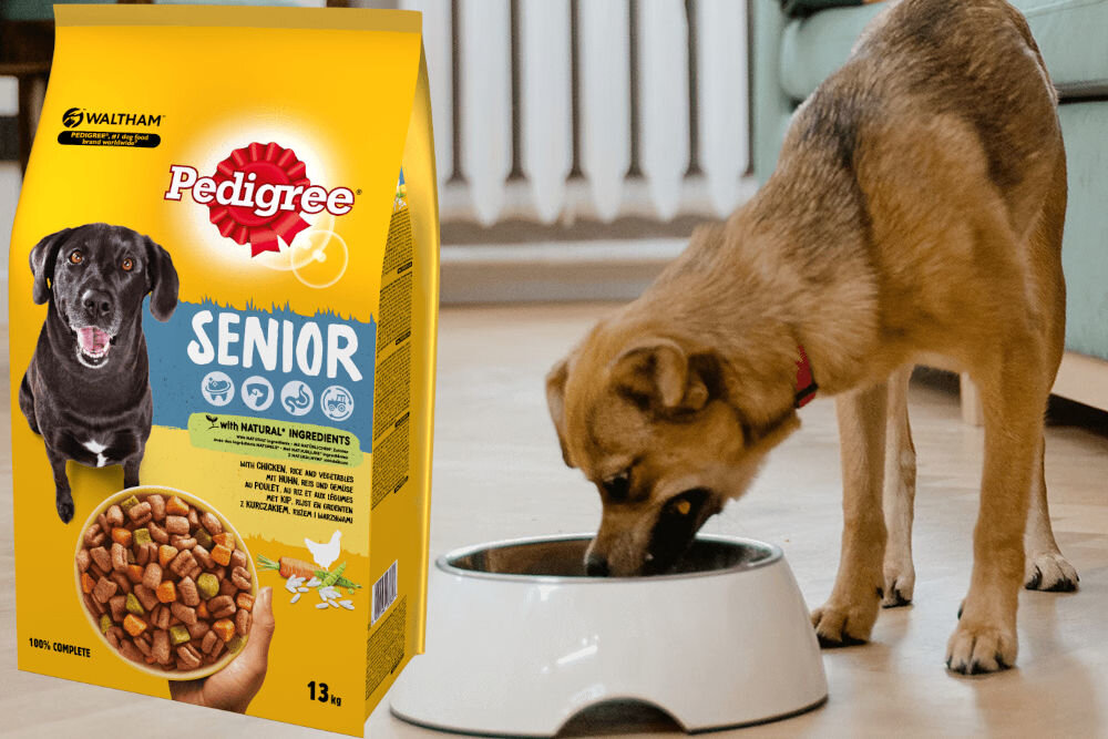 Karma dla psa PEDIGREE Senior Kurczak 13 kg naturalne składniki