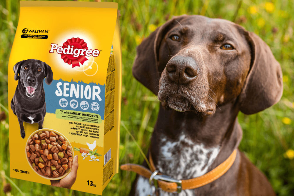 Karma dla psa PEDIGREE Senior Kurczak 13 kg dawkowanie analiza sklad