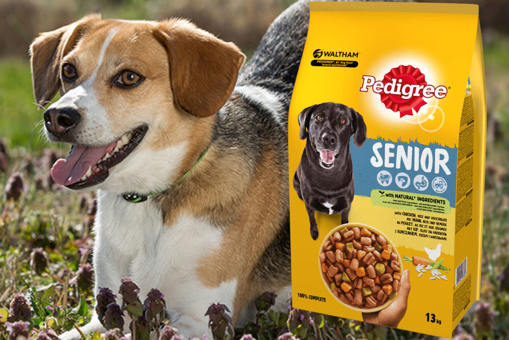 Karma dla psa PEDIGREE Senior Kurczak 13 kg witaminy pierwiastki aminokwasy