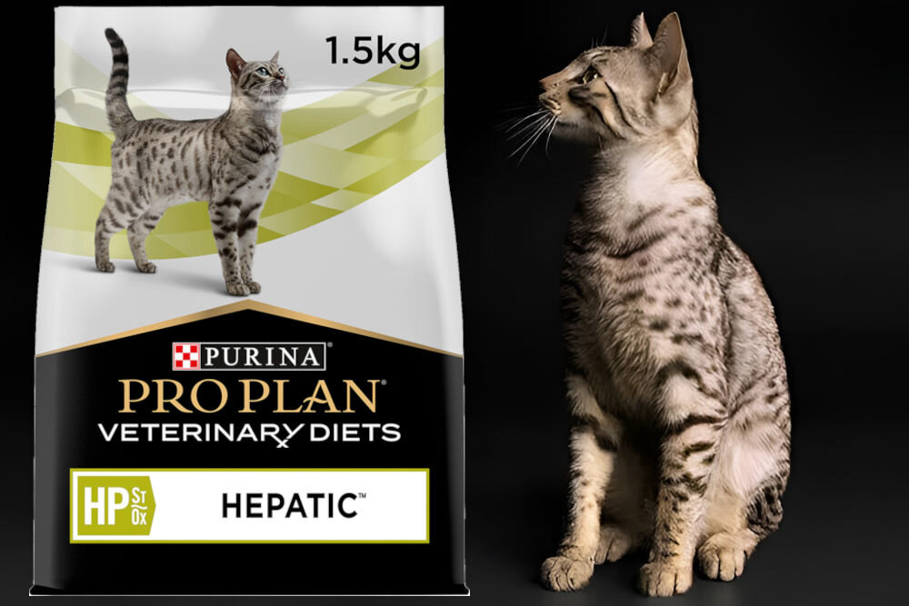 Karma dla kota PURINA Pro Plan Veterinary Diets Feline Hp Hepatic 1,5 kg dodatki analiza