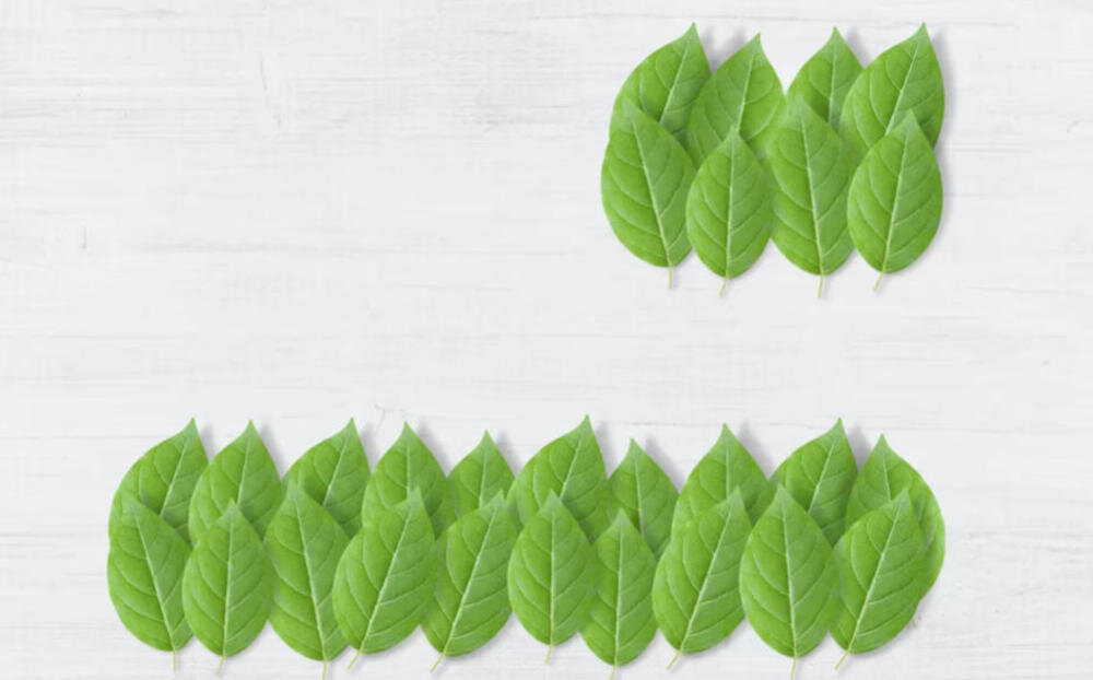 BOSCH WTW876K0PL suszarka pompa ciepło czynnik chłodzący ekologia gazy