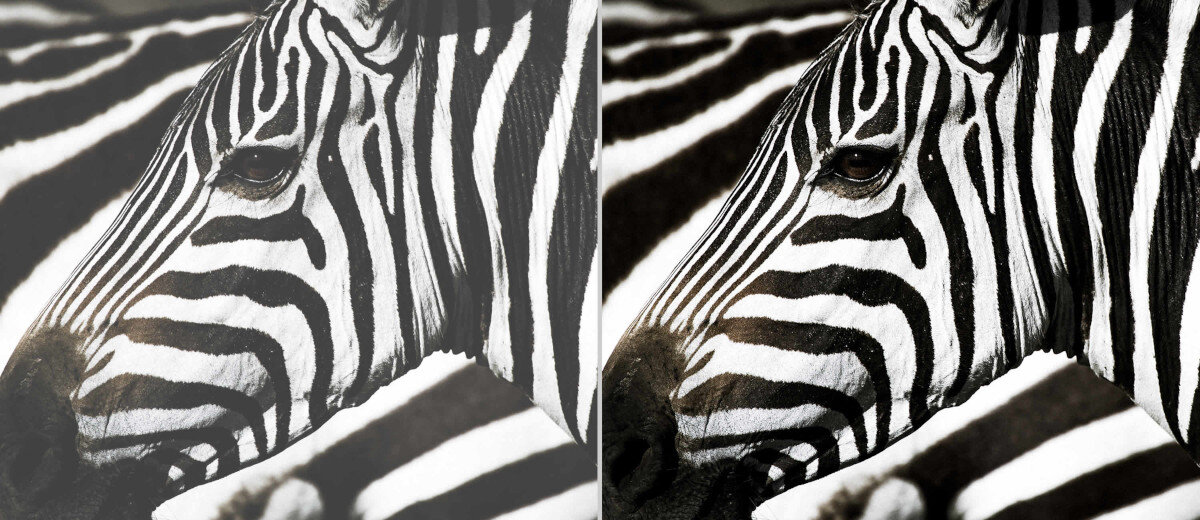 Projektor OPTOMA ZH461 wysoki kontrast