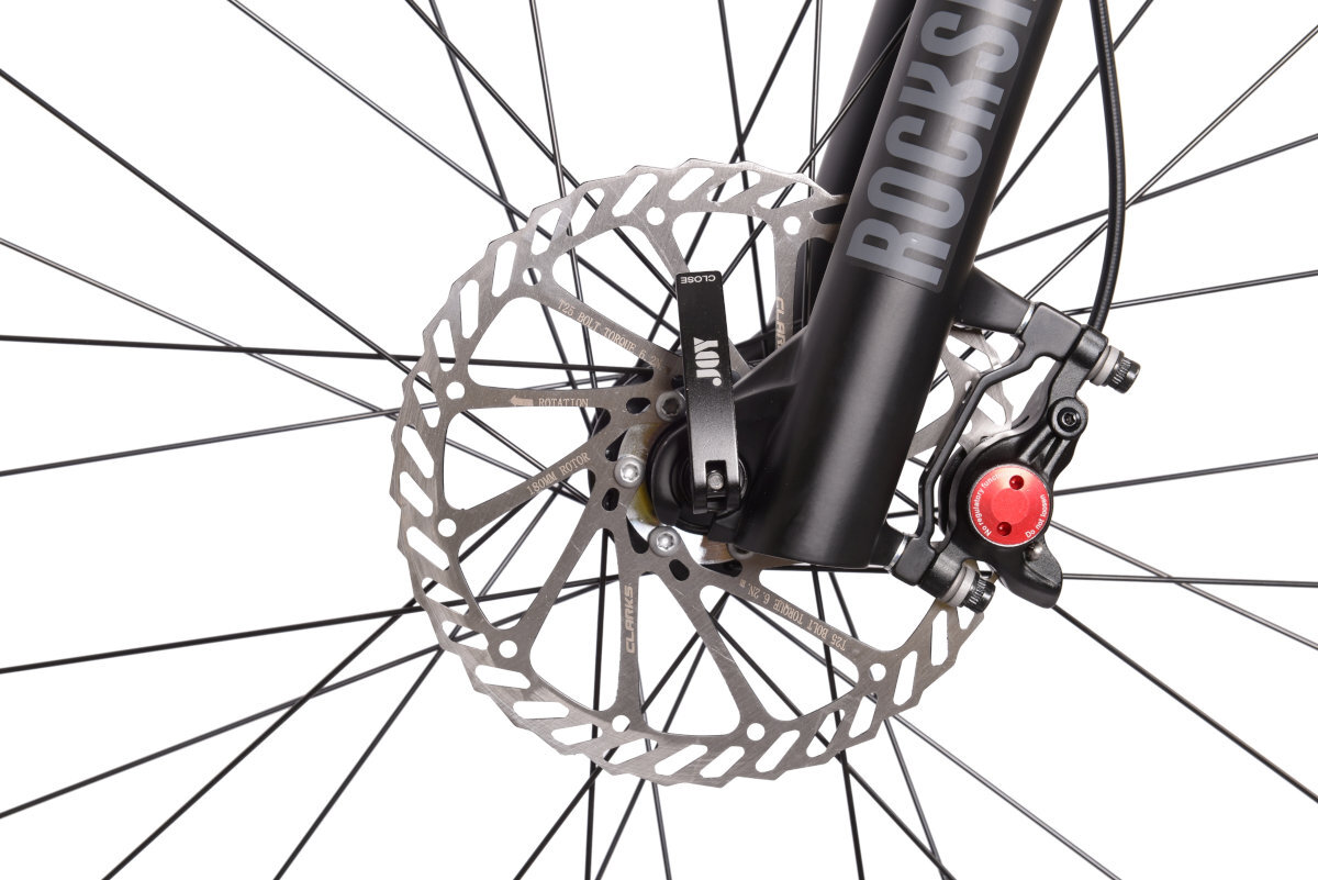 Rower elektryczny BOTTECCHIA BE33 Teaser 29 M16 29 cali męski Szaro-antracytowy