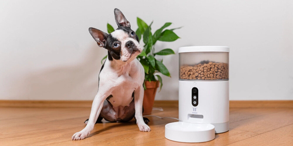 Dozownik karmy TESLA Smart Pet Feeder Camera Podgląd na żywo kamera mikrofon głośnik