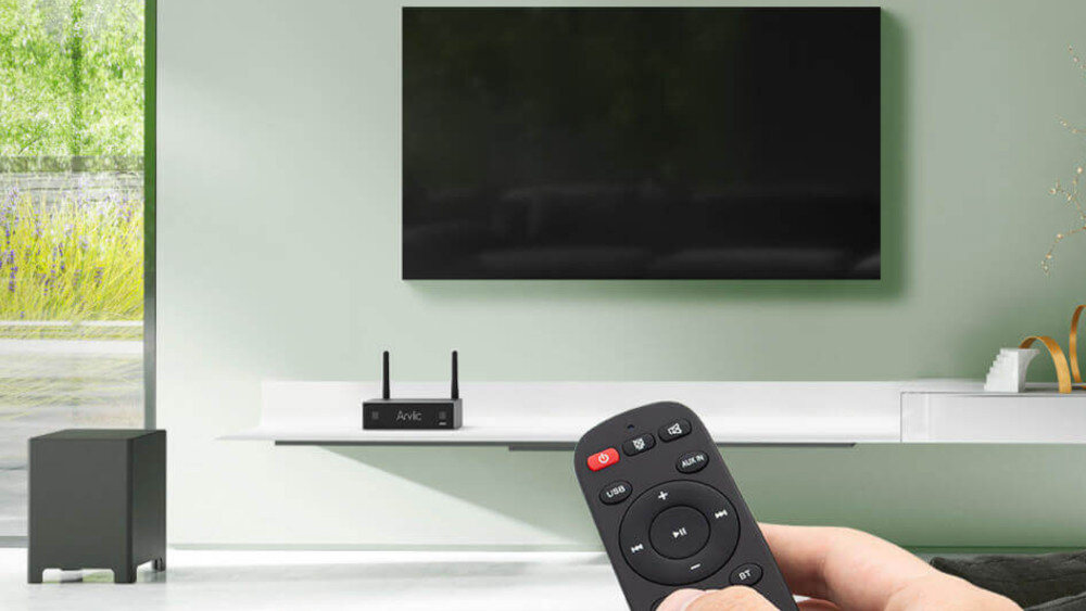 Odtwarzacz sieciowy ARYLIC A50+ Pro  - źródła dźwięku