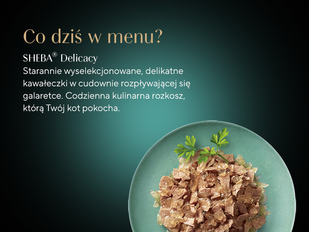Karma dla kota SHEBA Delicacy Drobiowe Smaki (80 x 85 g) skład talerz z karmą w sosie