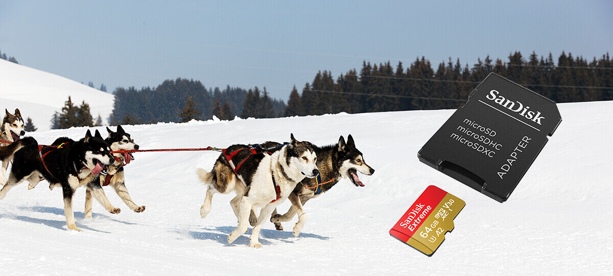 karta sandisk zdjecie lifestyle