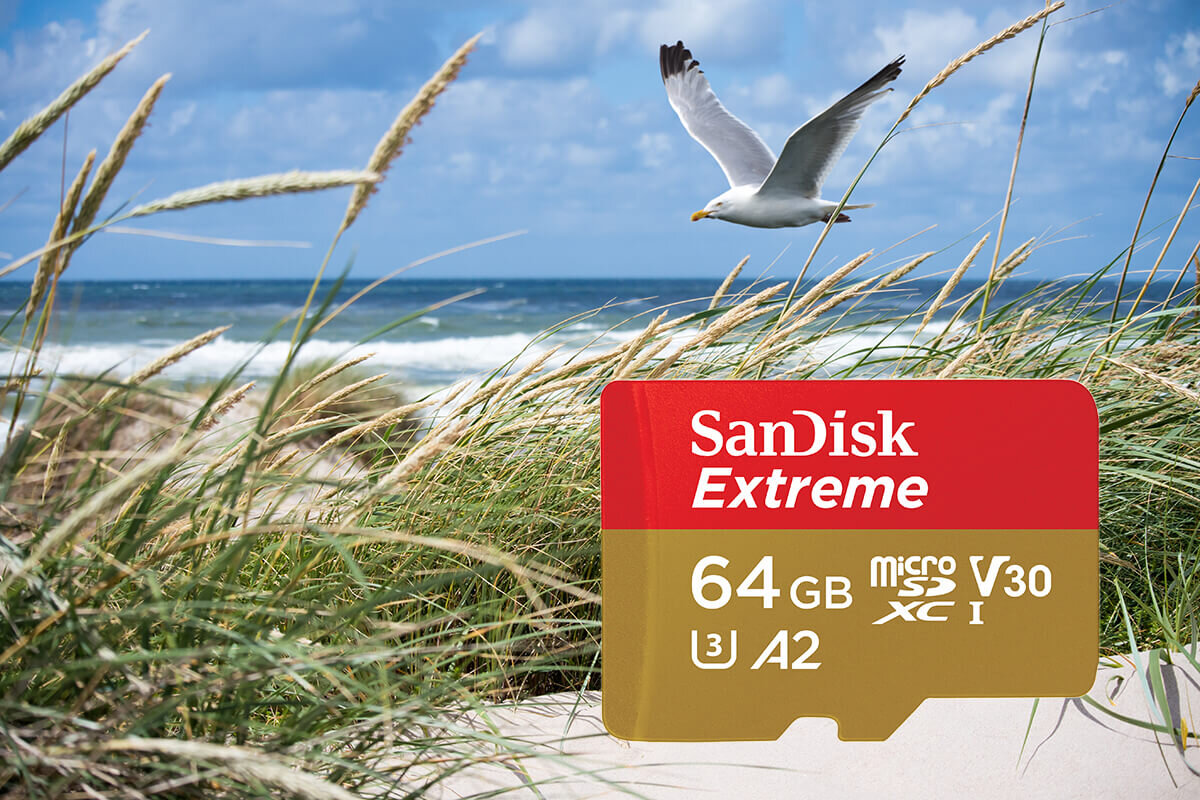 karta sandisk zdjecie lifestyle