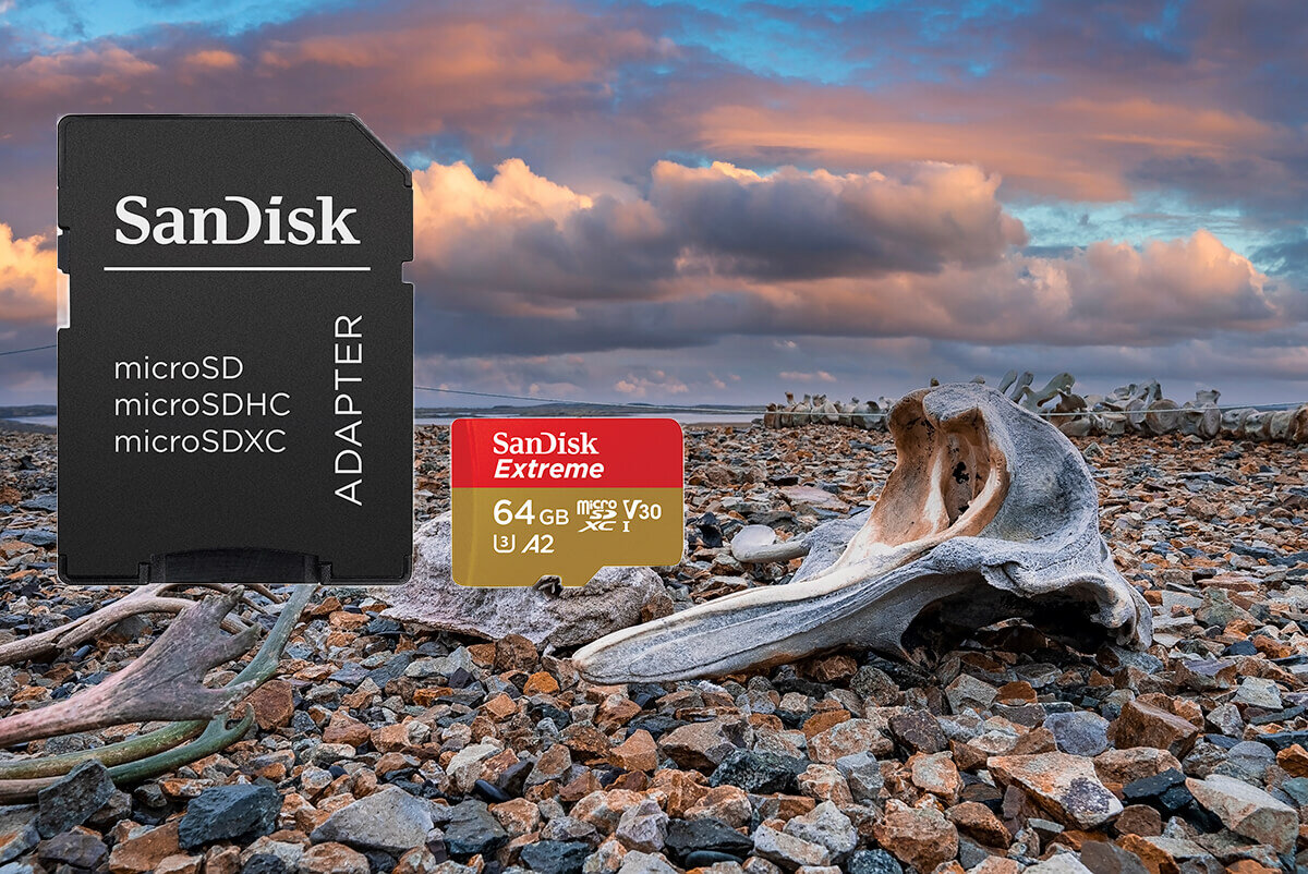 karta sandisk zdjecie lifestyle