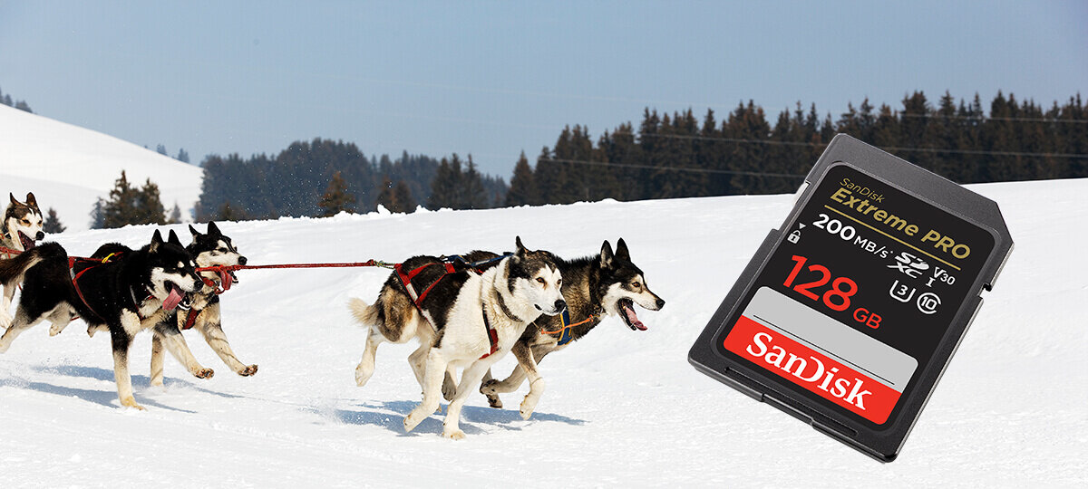 karta sandisk zdjecie lifestyle