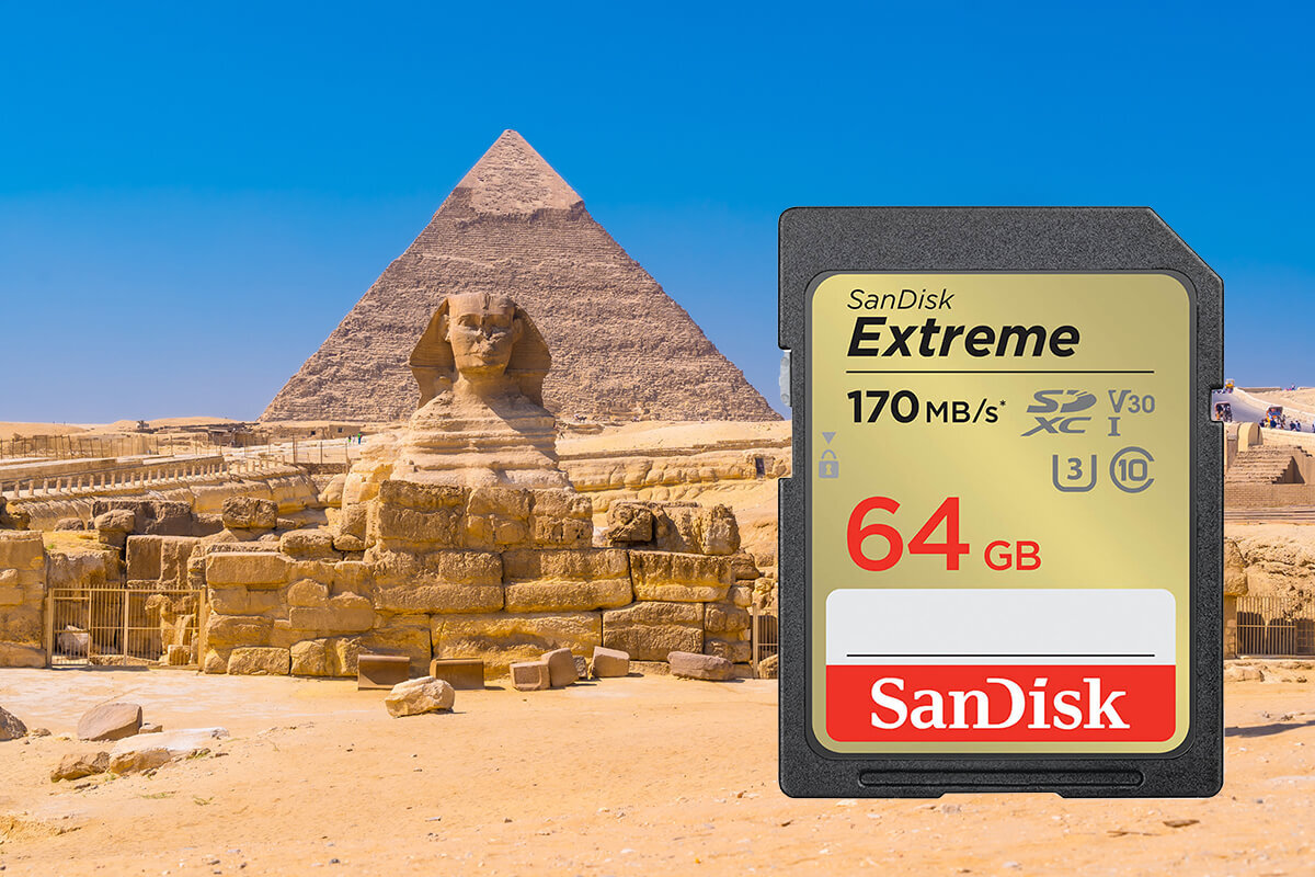 karta sandisk zdjecie lifestyle