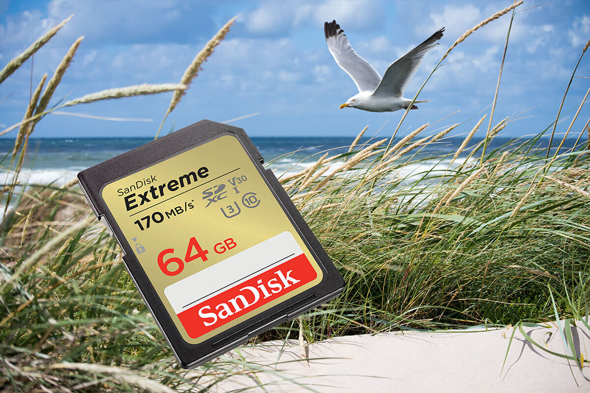 karta sandisk zdjecie lifestyle