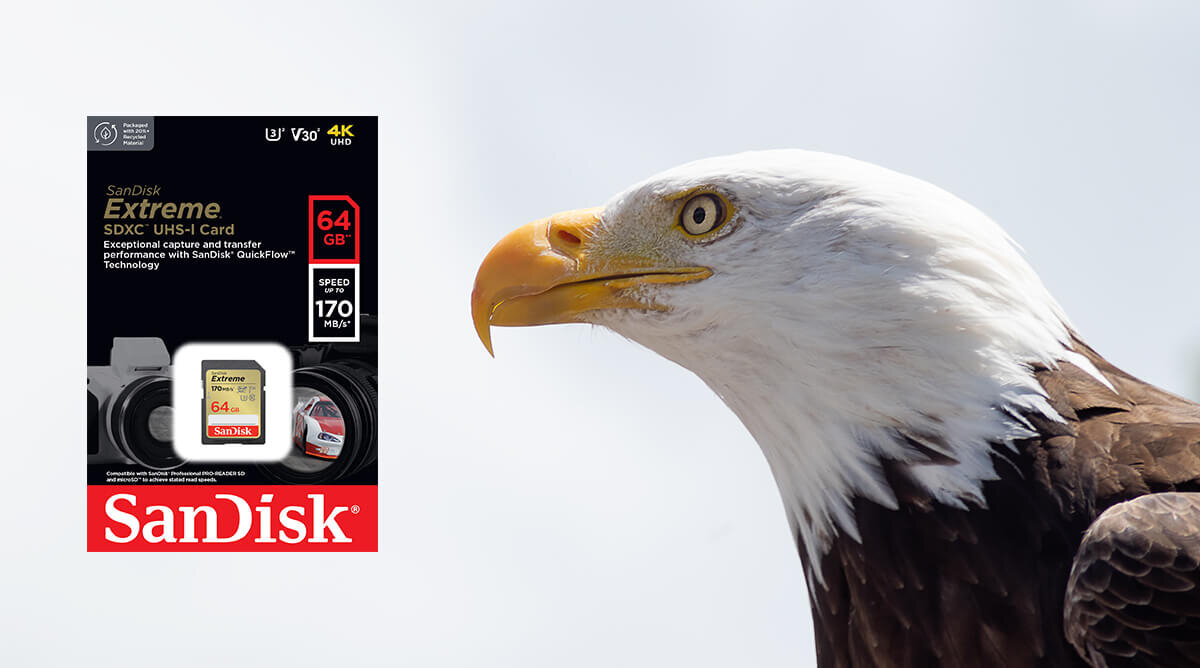 karta sandisk zdjecie lifestyle