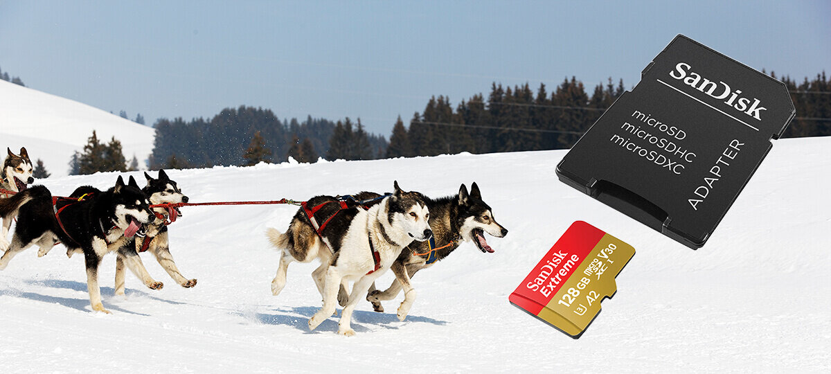 karta sandisk zdjecie lifestyle