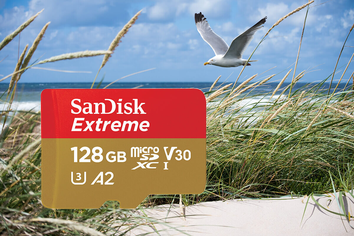 karta sandisk zdjecie lifestyle