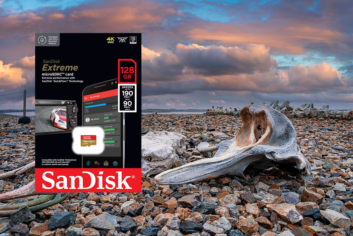 karta sandisk zdjecie lifestyle