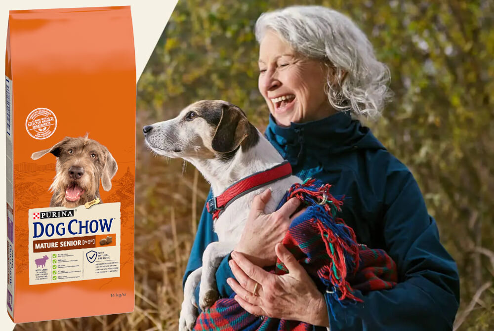 Karma dla psa PURINA Dog Chow Mature Senior z Jagnięciną 14 kg sklad analiza